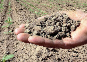 Emergenza idrica nei territori della provincia di Crotone, interviene la Regione