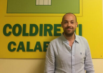 Fabio Borrello è il nuovo Presidente Coldiretti delle provincie di Catanzaro-Crotone e Vibo Valentia