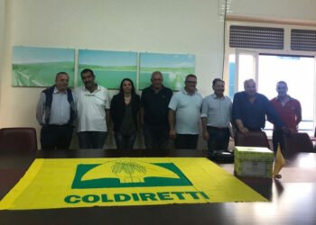 Pasquale Russo è il nuovo presidente di Coldiretti di Crotone