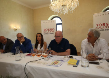 Rosso Calabria a Cirò, presentato il progetto dell’Enoteca Regionale “Casa dei Vini della Calabria”