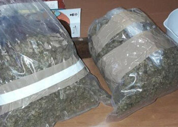 Trasforma una stanza in serra e coltiva marijuana, due arresti a Crucoli Torretta