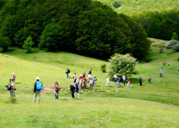 Non Estate solo al mare… Slow Food vi porta in Sila