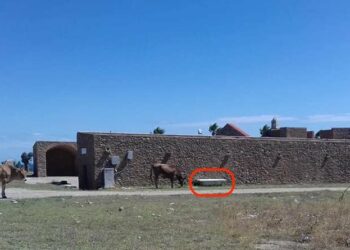 La Senatrice Corrado replica a Maria Daniela Panteca, portavoce di Fratelli d’Italia Cirò Marina sui Mercati Saraceni