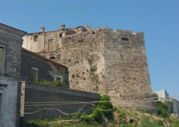 Danni da cinghiali: provvedimenti quasi inesistenti ed inefficaci