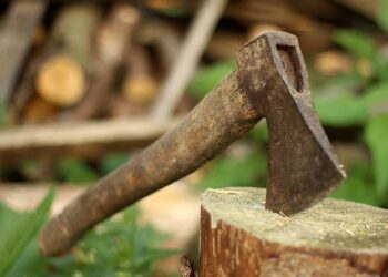 Cutro: Impugna un’ascia per allontanare cane randagio, arrestato 49enne per resistenza a Pubblico Ufficiale