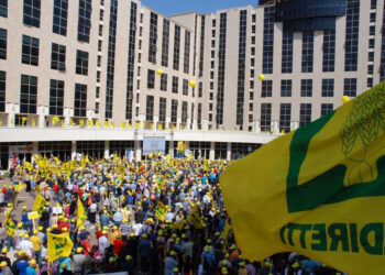 Emergenza cinghiali: assenza totale di azione politica al Dipartimento Agricoltura. La mobilitazione Coldiretti sarà intensificata