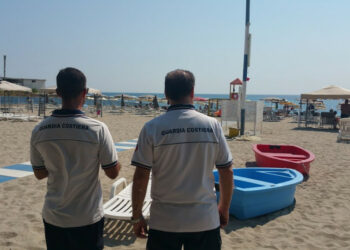 Danni da cinghiali: provvedimenti quasi inesistenti ed inefficaci