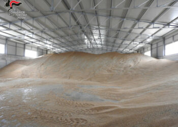 I Carabinieri forestali hanno riapposto i sigilli ad un capannone a Strongoli, era utilizzato ancora dal proprietario