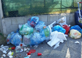 Imbrattavano il suolo pubblico e buttavano rifiuti illegalmente, sei persone denunciate dalla Polizia municipale di Santa Severina