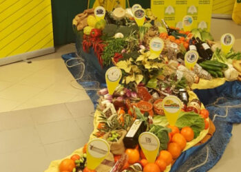 Dalla Calabria i prodotti più gettonati che i Turisti portano a casa sono quelli Agroalimentari