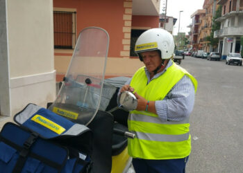 Danni da cinghiali: provvedimenti quasi inesistenti ed inefficaci