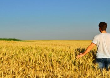 Regione Calabria: Pubblicato il nuovo bando del Psr per l’insediamento dei giovani in agricoltura