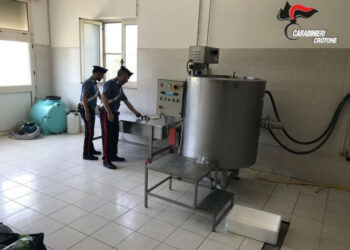 San Mauro Marchesato: controlli nel settore agricolo, agroalimentare e forestale