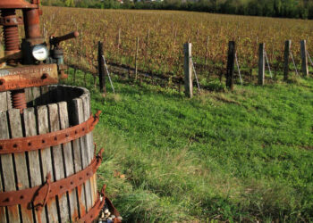 Viabilità, aperta gara per strade interpoderali di Cirò