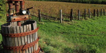 Viabilità, aperta gara per strade interpoderali di Cirò