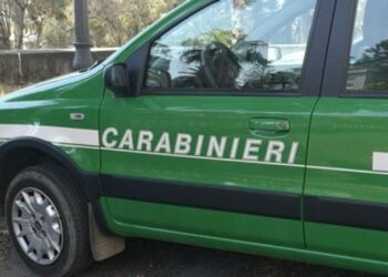 Abbandono rifiuti in strada a Cirò Marina, multa da 600 euro per alcuni cittadini trasgressori