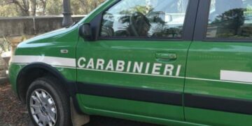 Abbandono rifiuti in strada a Cirò Marina, multa da 600 euro per alcuni cittadini trasgressori