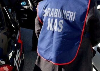 Controllo dei Carabinieri e Nas nel settore agricolo, multa ad una cantina di Cirò