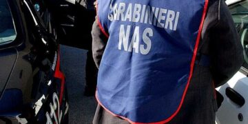 Controllo dei Carabinieri e Nas nel settore agricolo, multa ad una cantina di Cirò