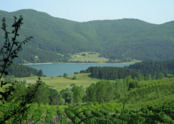 Cosenza e la Sila collegati anche di domenica e nei giorni festivi, ecco gli orari
