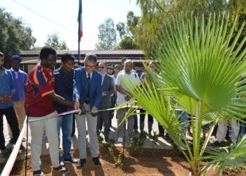Albero di palma donato dalla comunità musulmana del Regional Hub in segno di pace e fratellanza