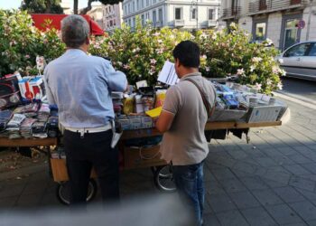 Azione antiabusivismo e antiprostituzione della Polizia Municipale di Crotone, 7 multe e 15 fermi