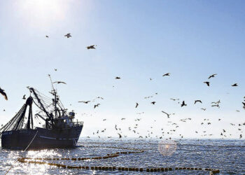 Fermo biologico della pesca, interviene la Senatrice M5S Rosa Silvana Abate