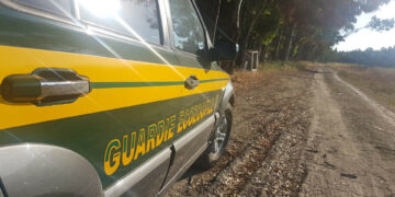 Cirò: Antibracconaggio, rinvenute trappole e lacci per la cattura della fauna selvatica