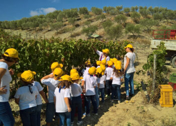 I Baby del Kinder Park trasformati in piccoli vignaioli per un giorno all’iniziativa Cantine Aperte in Vendemmia