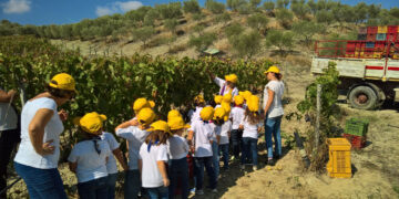 I Baby del Kinder Park trasformati in piccoli vignaioli per un giorno all’iniziativa Cantine Aperte in Vendemmia