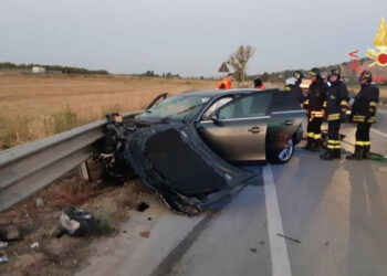 Incidente mortale sulla SS106 nella mattinata a Botricello, un morto e deceduti anche 5 cani
