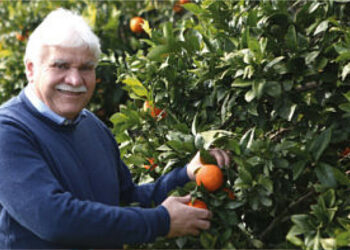 Agricoltura, Oliverio (Pd): Complimenti a Pietro Molinaro per la conferma a Presidente Coldiretti Calabria