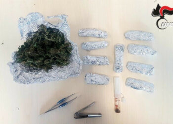 Cirò Marina: Coltivava marijuana nel giardino di casa, arrestato bracciante agricolo dai Carabinieri