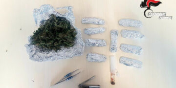 Cirò Marina: Coltivava marijuana nel giardino di casa, arrestato bracciante agricolo dai Carabinieri