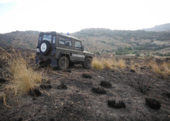 Provoca incendio all’interno del Parco Nazionale d’Aspromonte, deferito all’autorita’ giudiziaria