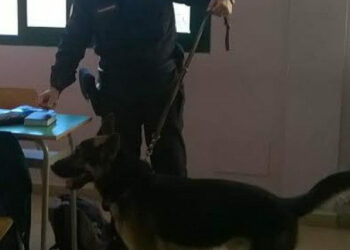 “Scuole Sicure”: spaccio di droga nelle scuole, attività di prevenzione della Prefettura nella provincia di Crotone