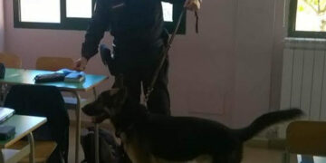 “Scuole Sicure”: spaccio di droga nelle scuole, attività di prevenzione della Prefettura nella provincia di Crotone