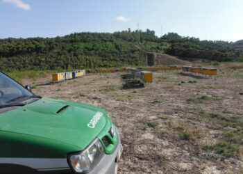 Sequestrate 128 arnie irregolari in un eucalipteto a Crotone