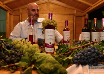 Successo Città del Vino e Calendario alla Fiera di Altomonte. A breve clip per promuovere borgo antico di CIrò