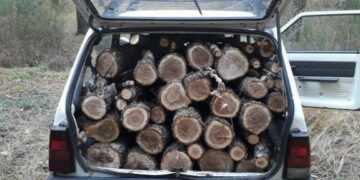 Tagliano tre alberi nel “Parco Astronomico Lilio” di Savelli, arrestati dai Carabinieri per furto di legna