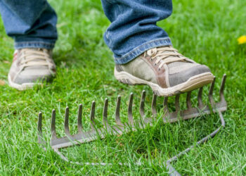 Via libera alla denuncia online degli infortuni in agricoltura