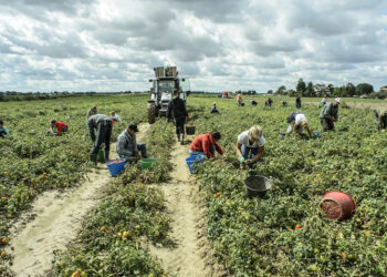 Task force per attività ispettive nella provincia di Crotone sul contrasto al Caporalato e allo Sfruttamento in agricoltura