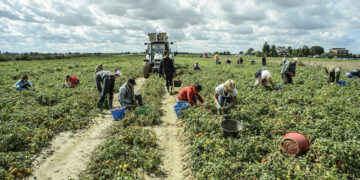 Task force per attività ispettive nella provincia di Crotone sul contrasto al Caporalato e allo Sfruttamento in agricoltura