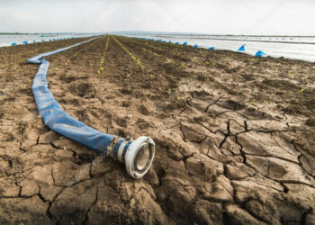 Coldiretti: la Regione autorizza carburante in più per l’irrigazione di soccorso su tutto il territorio regionale