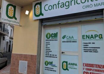 A Cirò Marina apre una sede territoriale della Confagricoltura. Alla guida Luigi Pririto