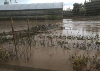 All’organizzazione del territorio, purtroppo, si antepone la fatalità