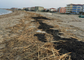 Giornata ecologica a Strongoli organizzata dalla Pro Loco: Aiutaci a ripulire la nostra spiaggia