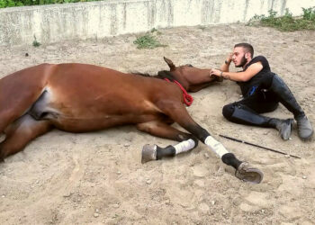 L’addestratore cirotano Vincenzo De Leo e le sue riflessioni sull’addestramento di un Cavallo