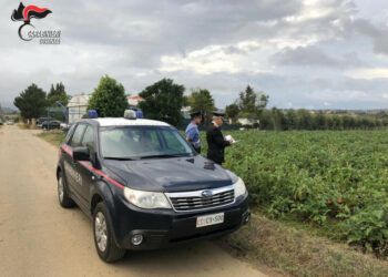 Lavoravano 9 ore al giorno per 20euro, arrestato imprenditore agricolo per sfruttamento del lavoro di 7 extracomunitari