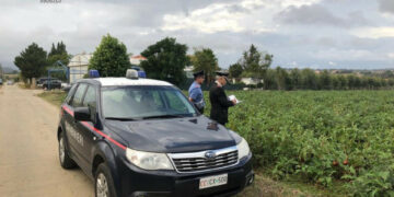 Lavoravano 9 ore al giorno per 20euro, arrestato imprenditore agricolo per sfruttamento del lavoro di 7 extracomunitari